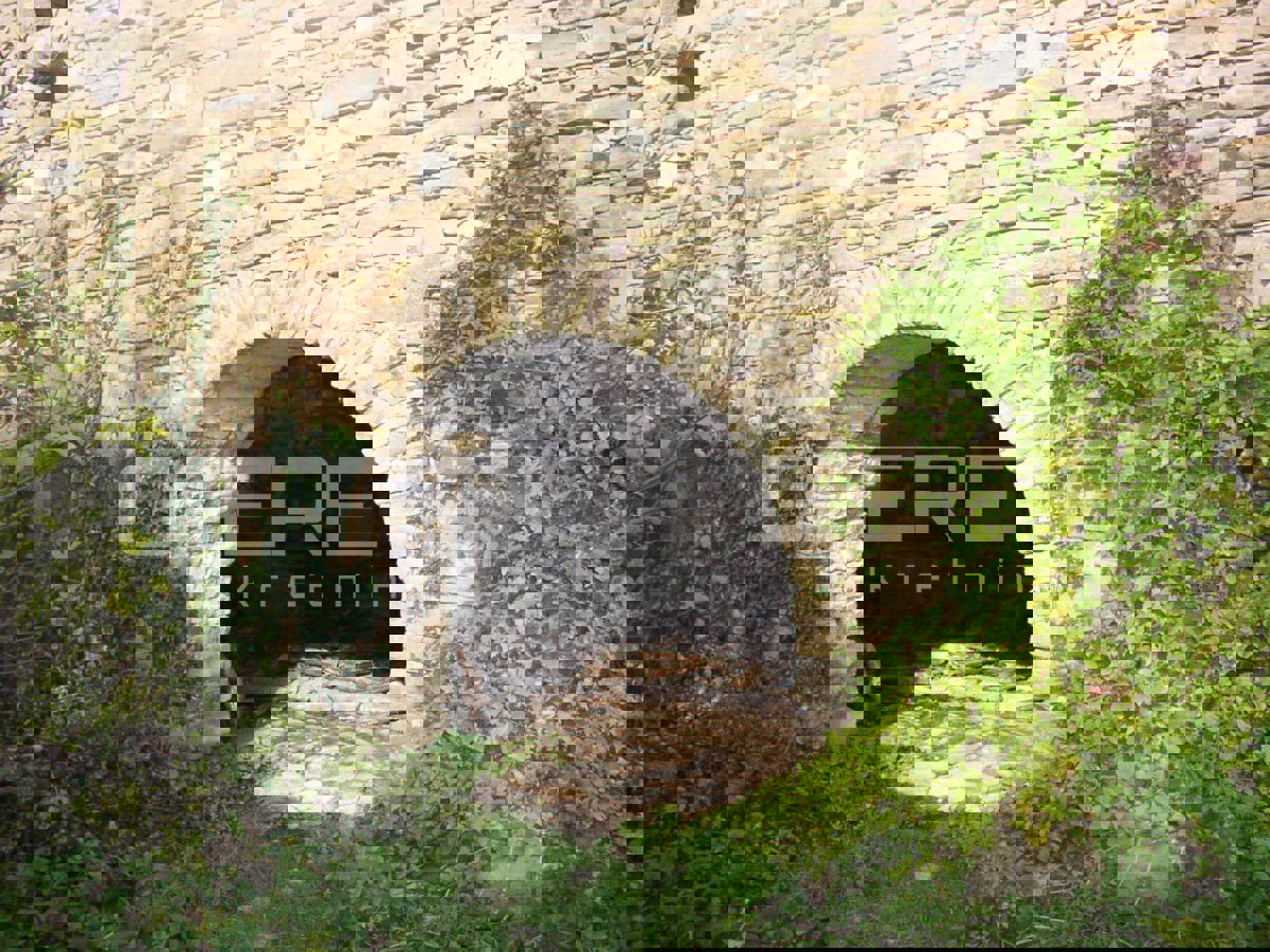 MOTOVUN