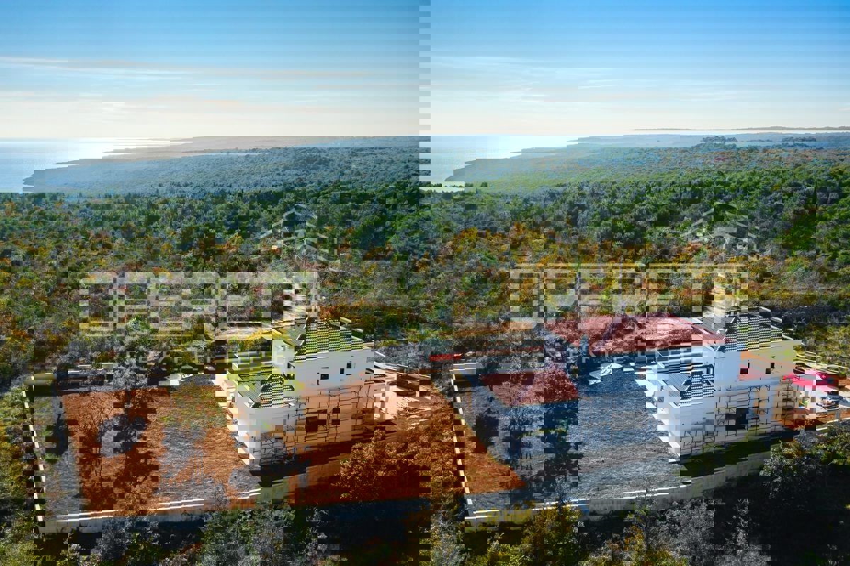 RAKALJ