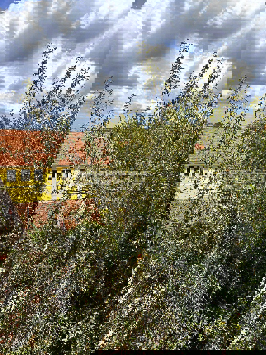 VARAŽDINSKE TOPLICE