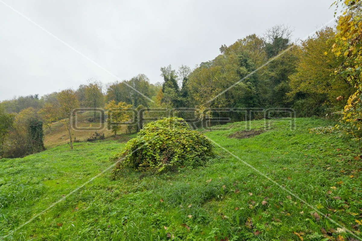 image 14