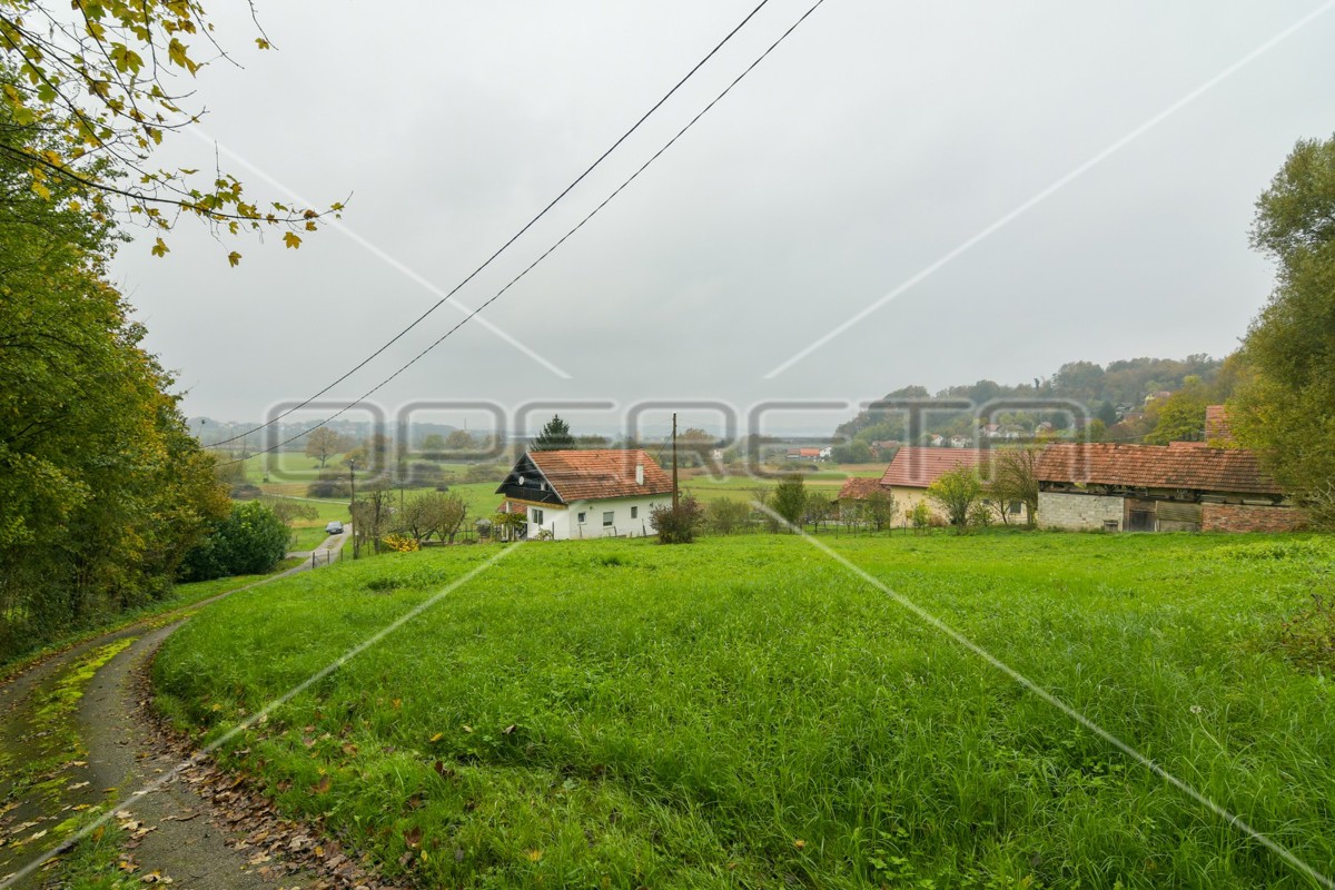 image 16