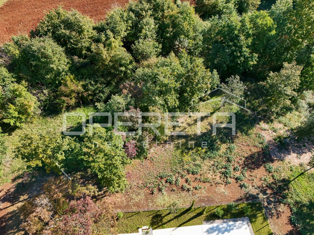 ISTRA, LINDAR (okolica) – Gradbena parcela z idejnim projektom – 3