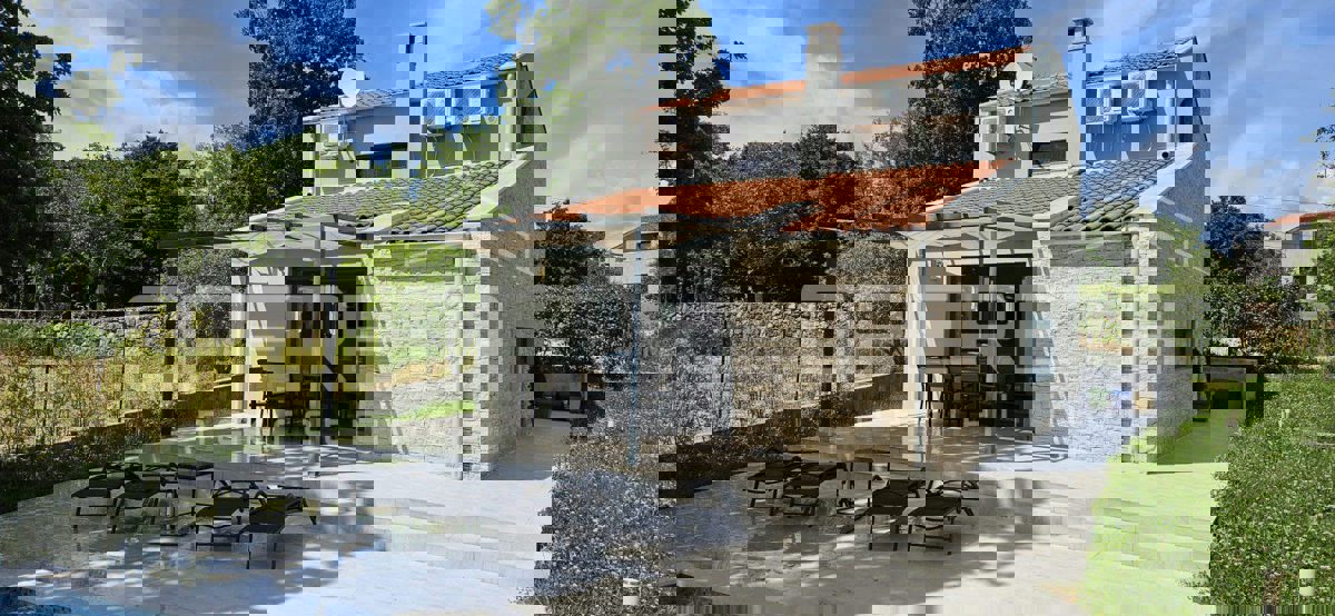 SVETI PETAR U ŠUMI