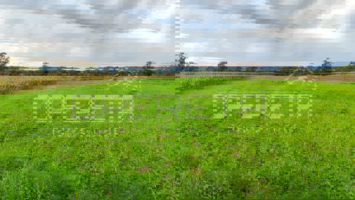 JAKOVLJE