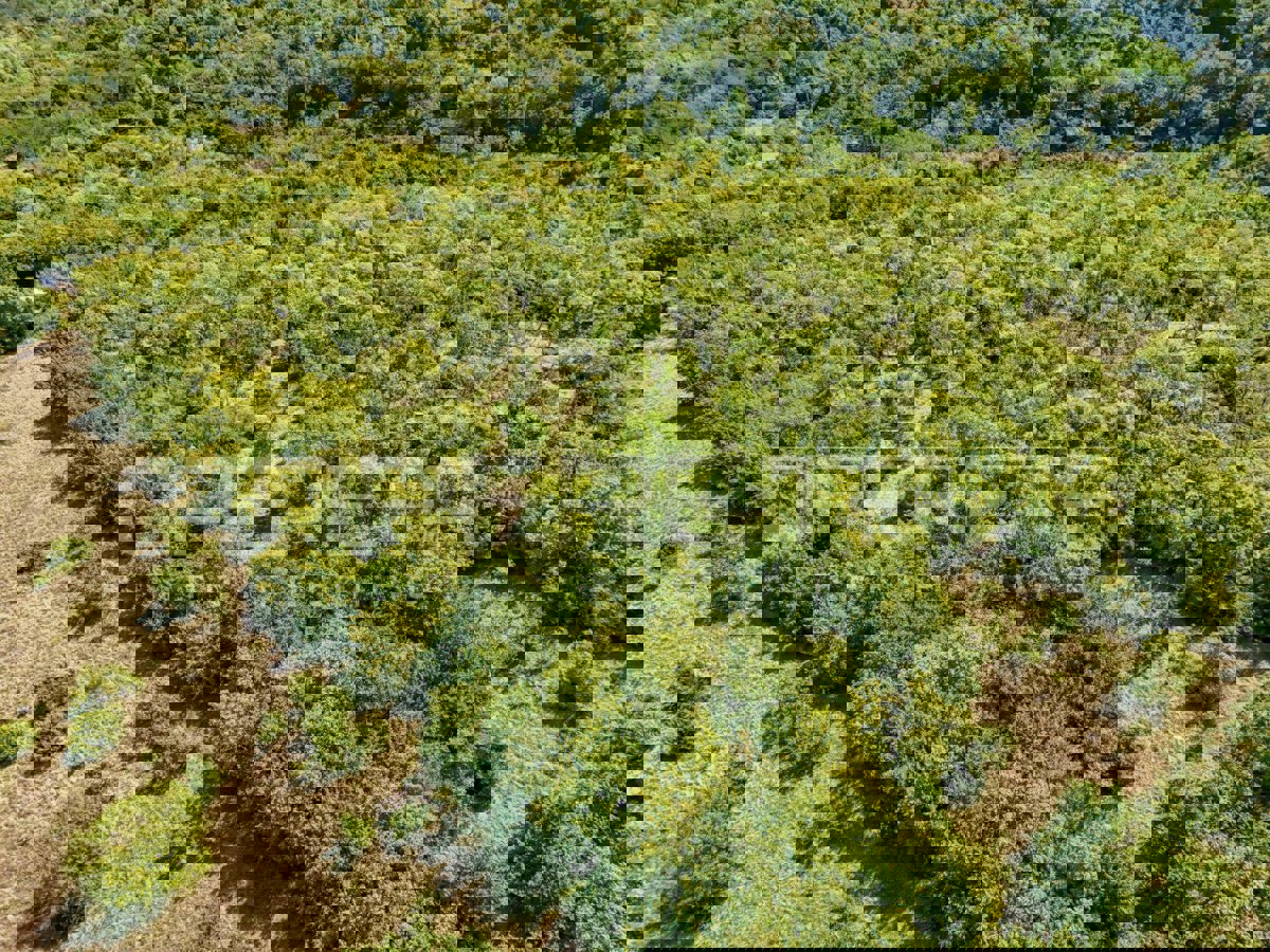 KAROJBA