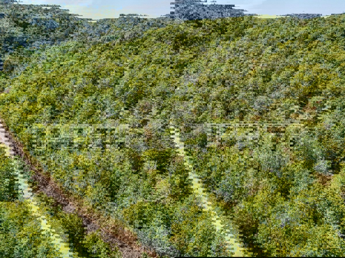 KAROJBA