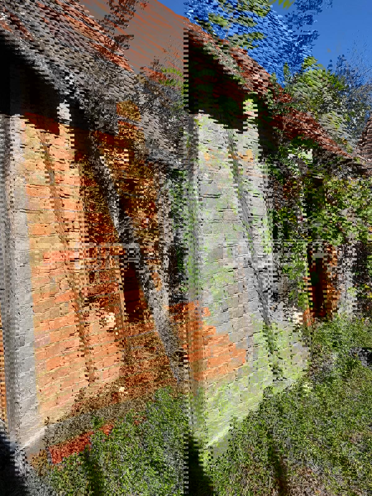 BOSILJEVO