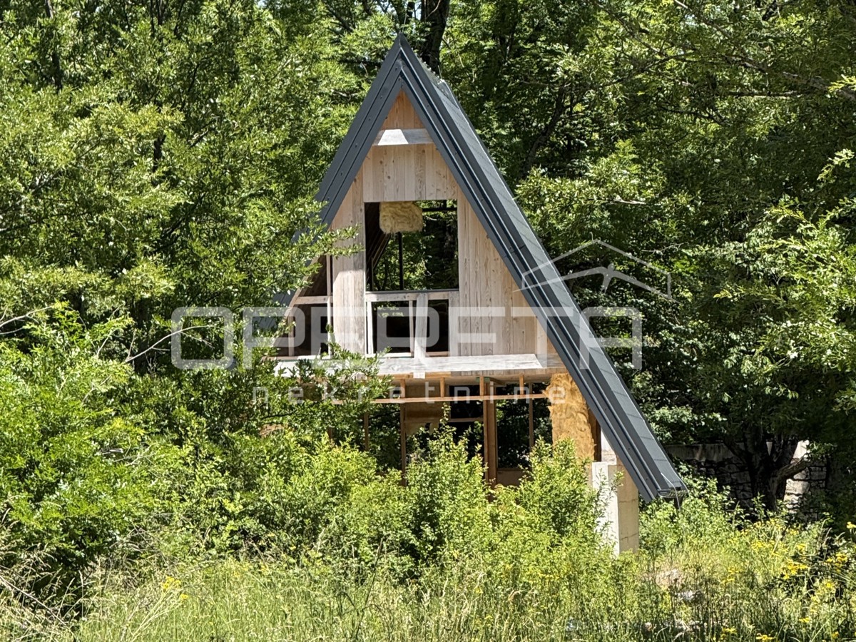 image 14