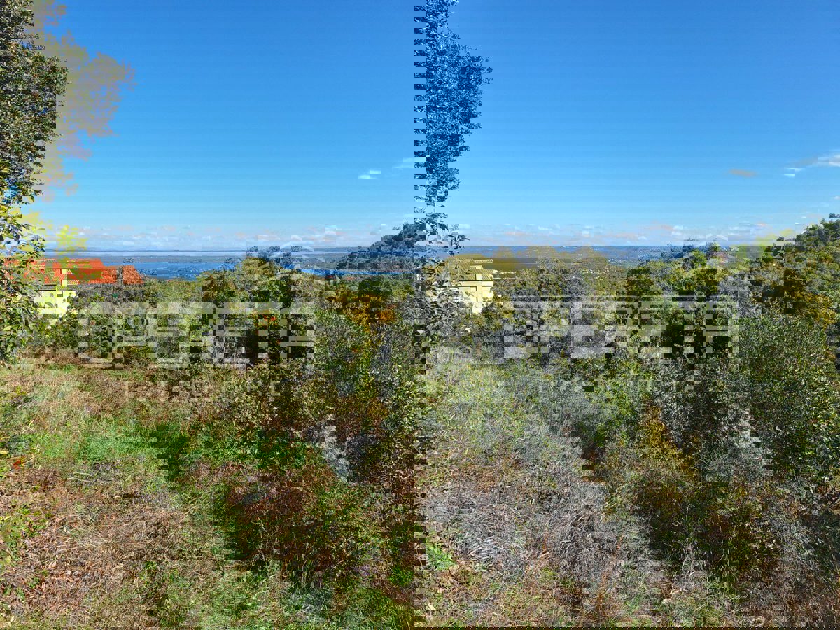 BILICE