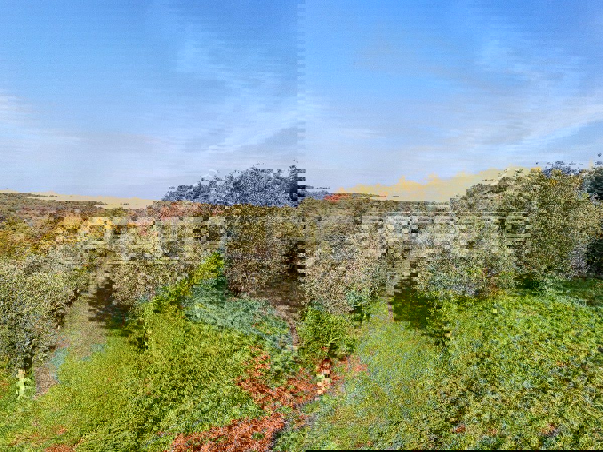 Участок UMAG, 80.000 €