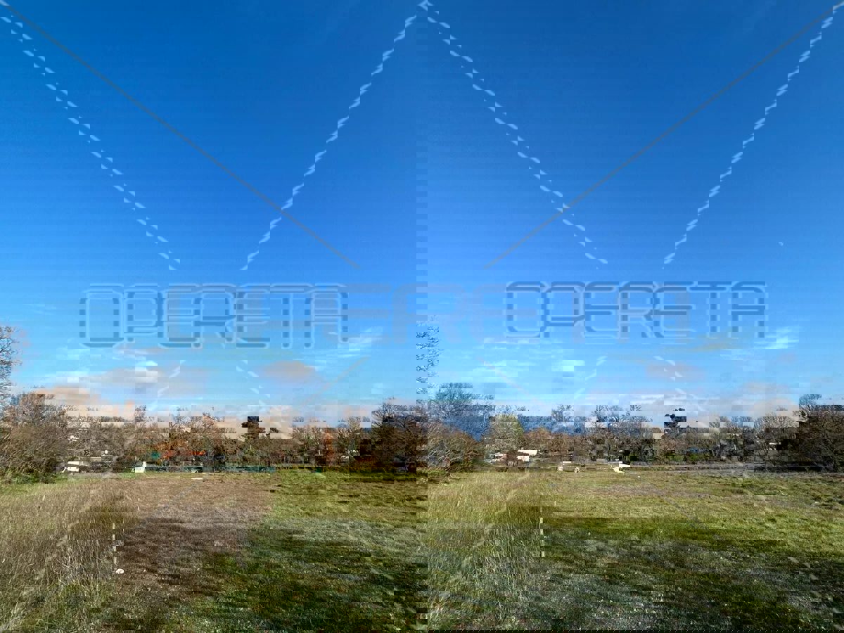MEDULIN