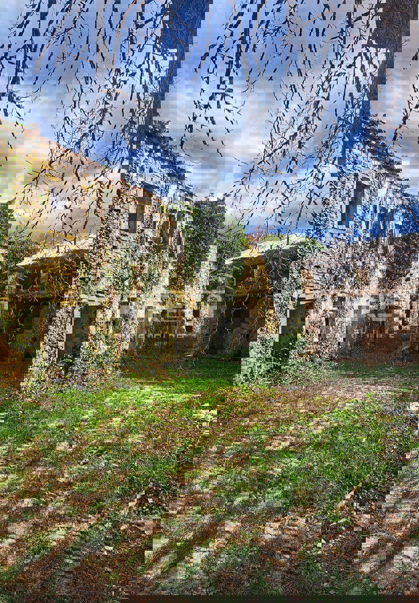 BUZET