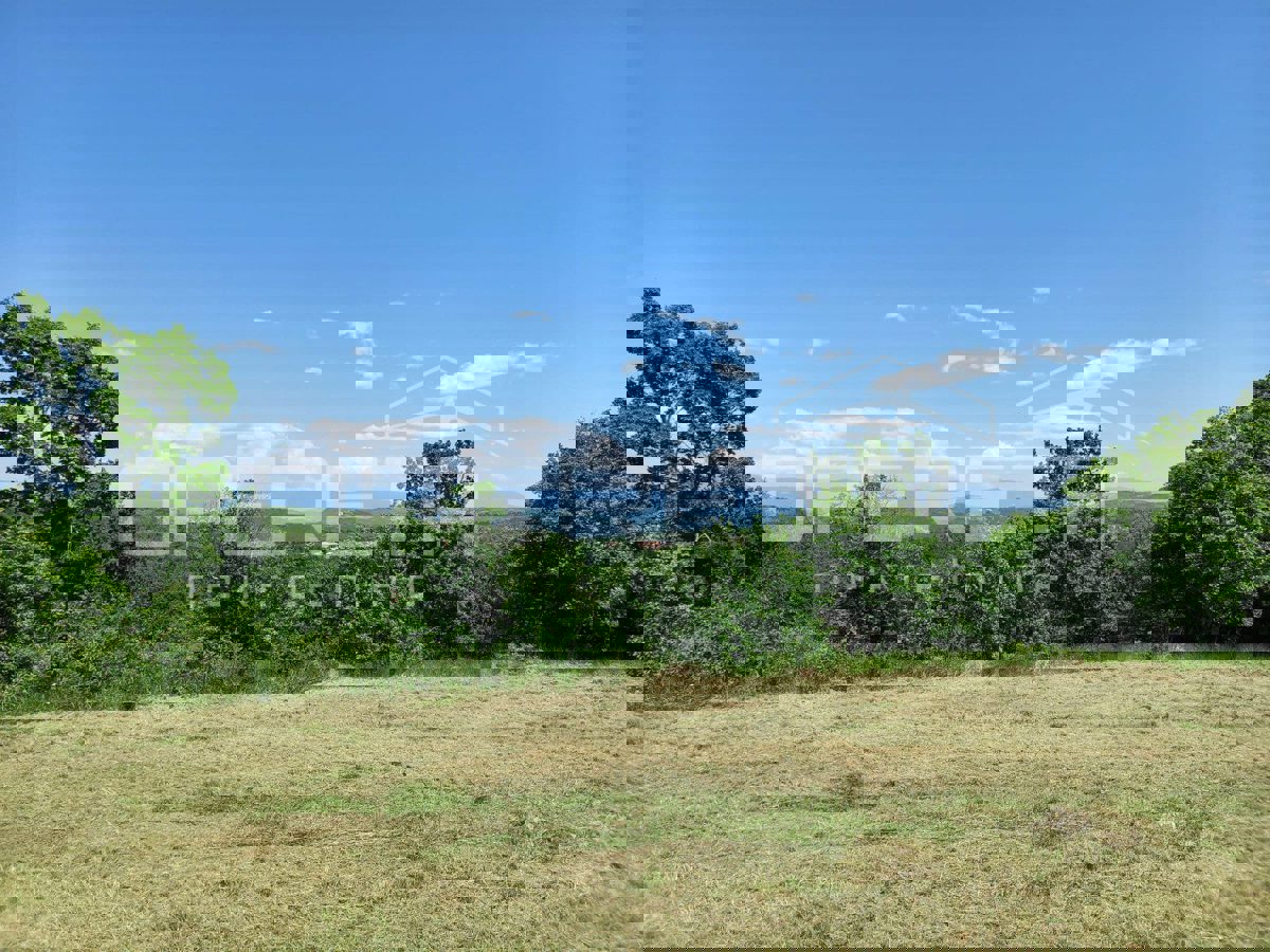 Участок VIŽINADA, 75.000 €