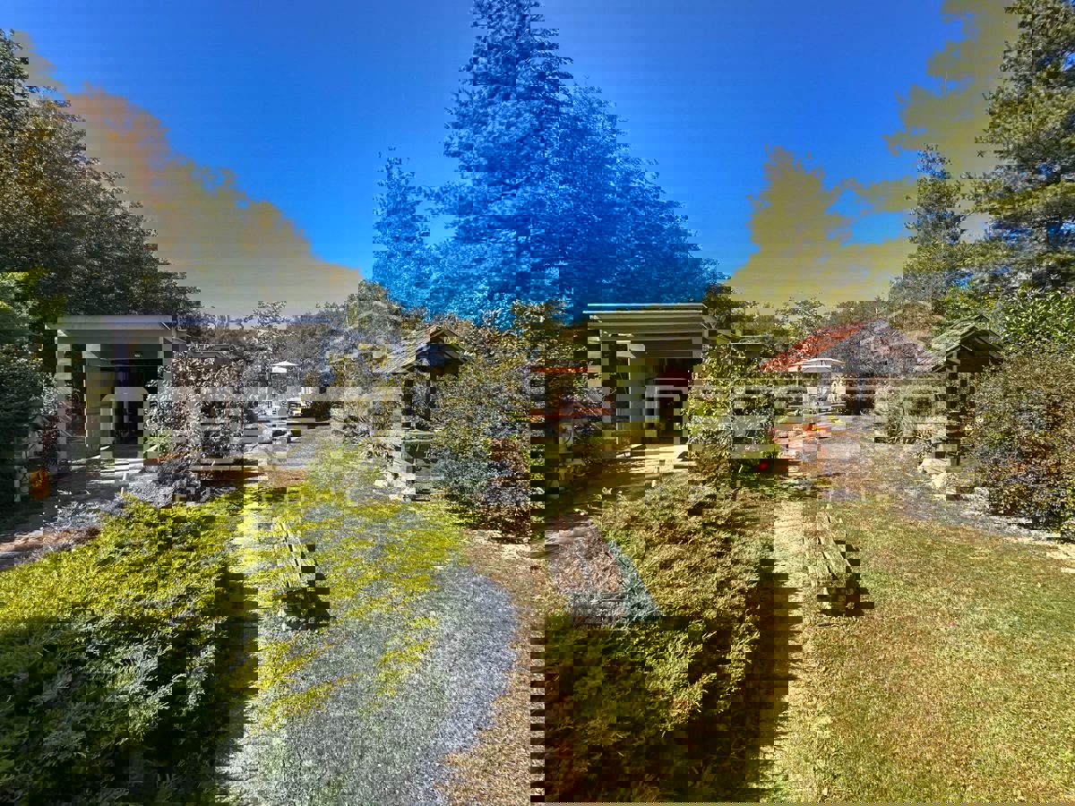 LEKENIK