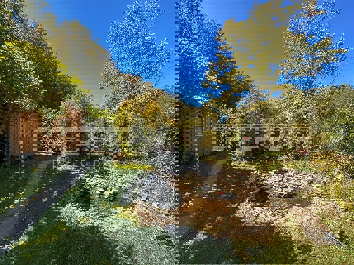 LEKENIK
