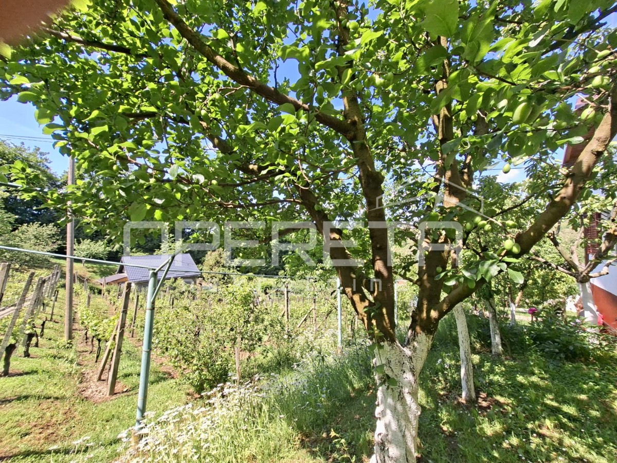 image 16