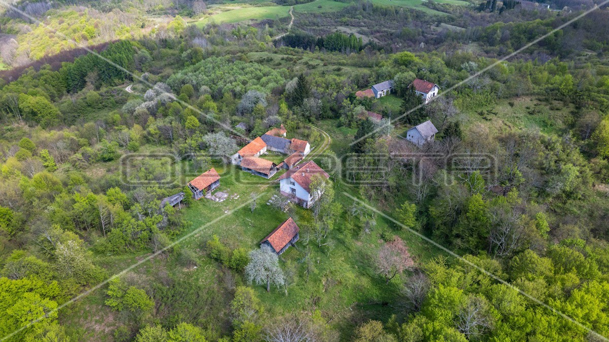 KRNJAK