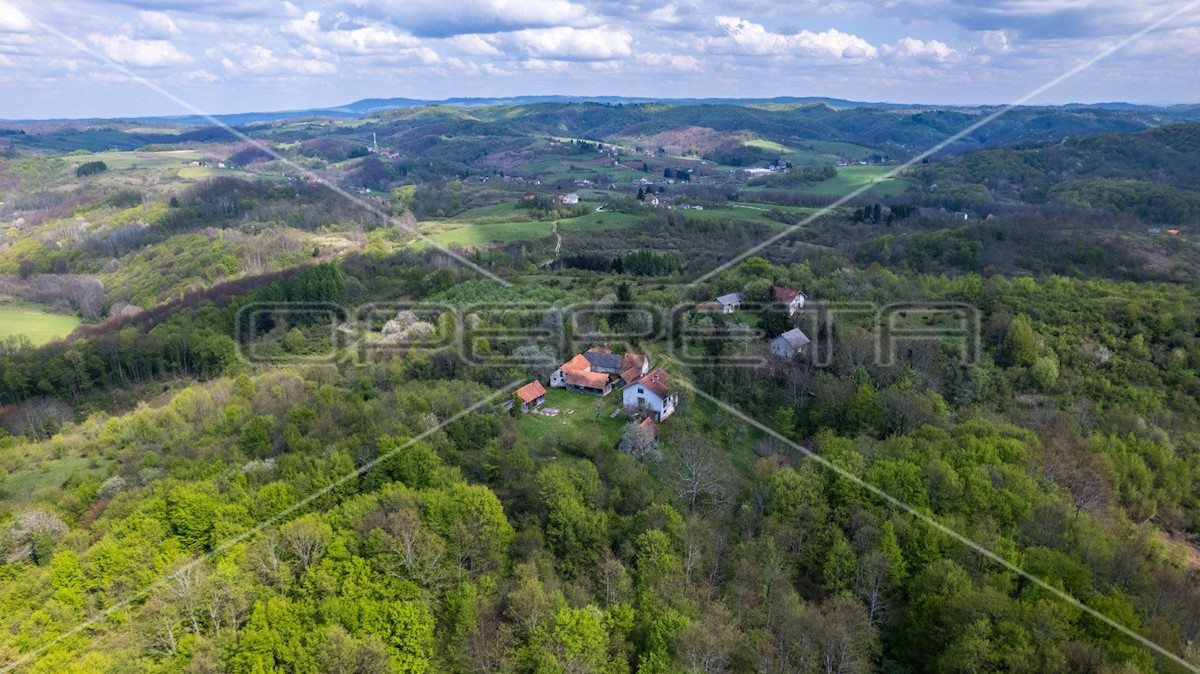 KRNJAK