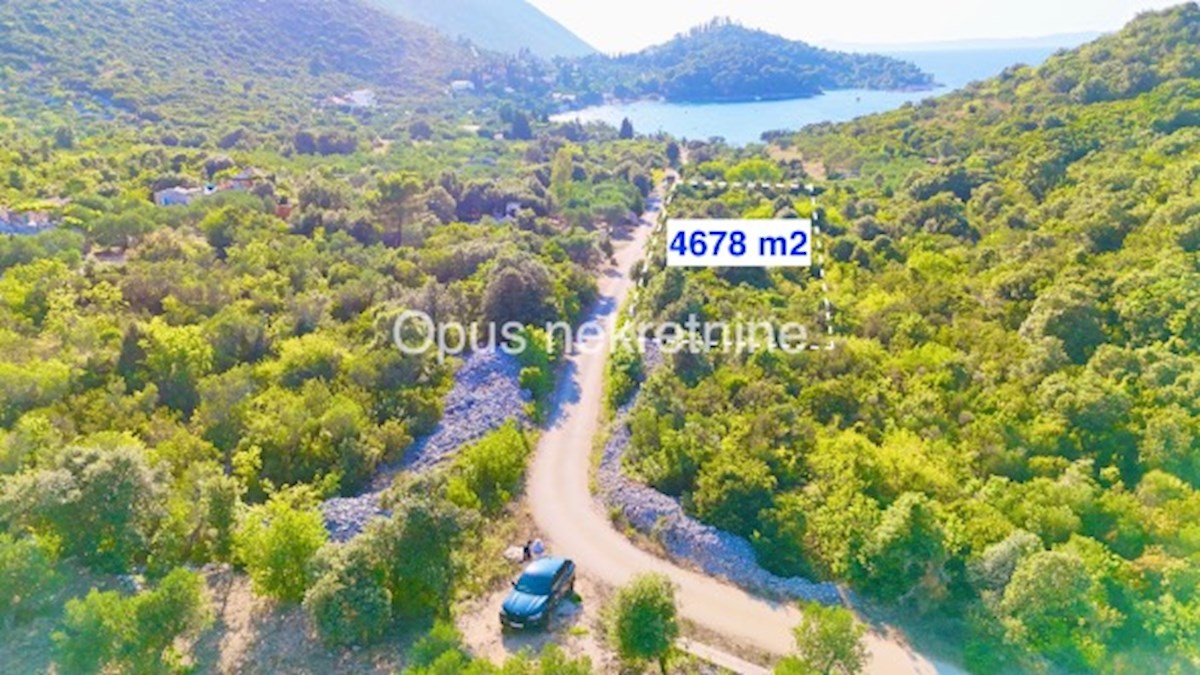 TRPANJ