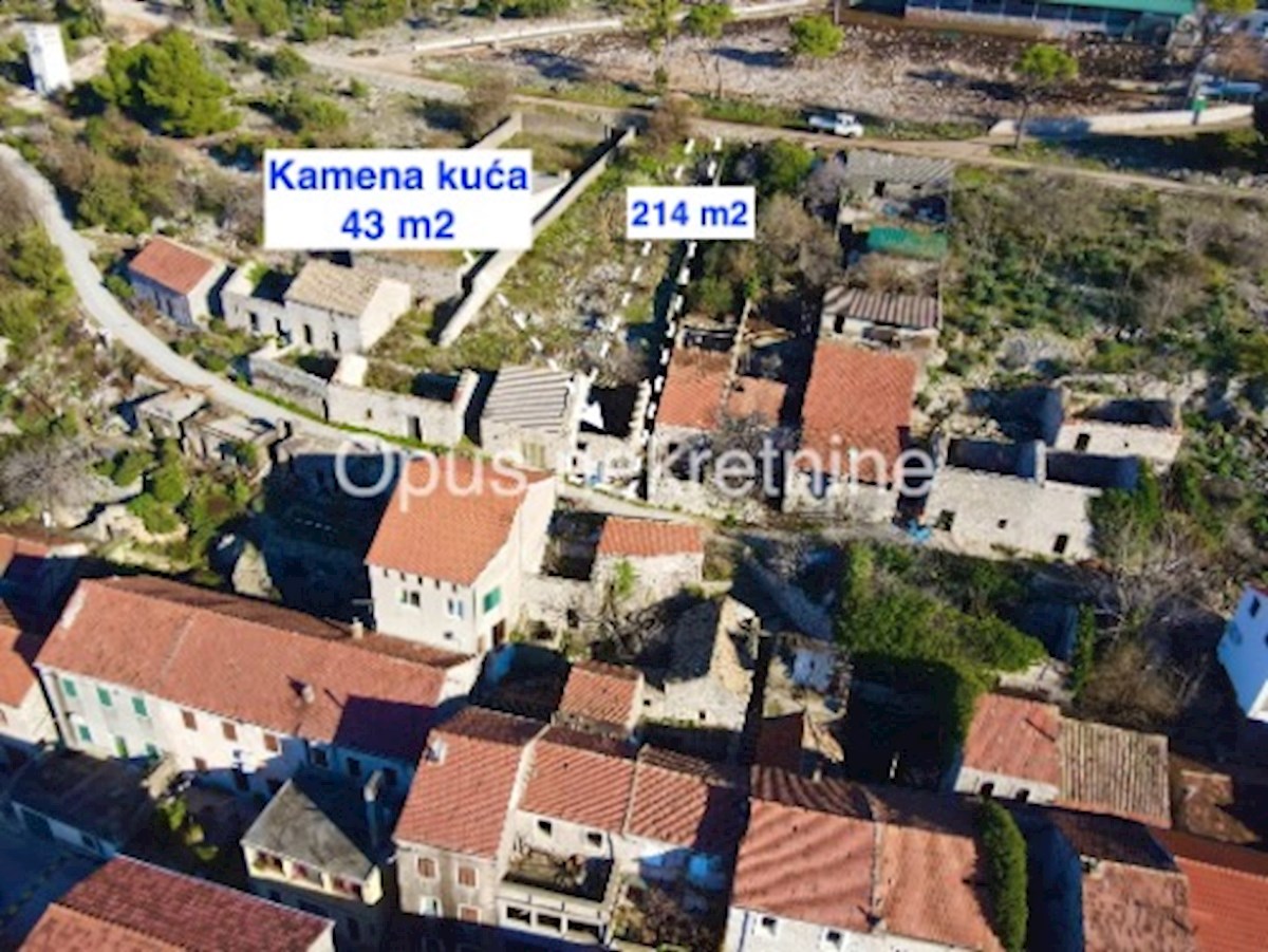 KUNA PELJEŠKA