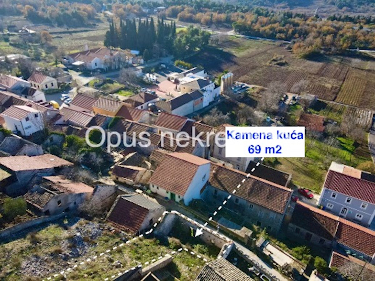 KUNA PELJEŠKA