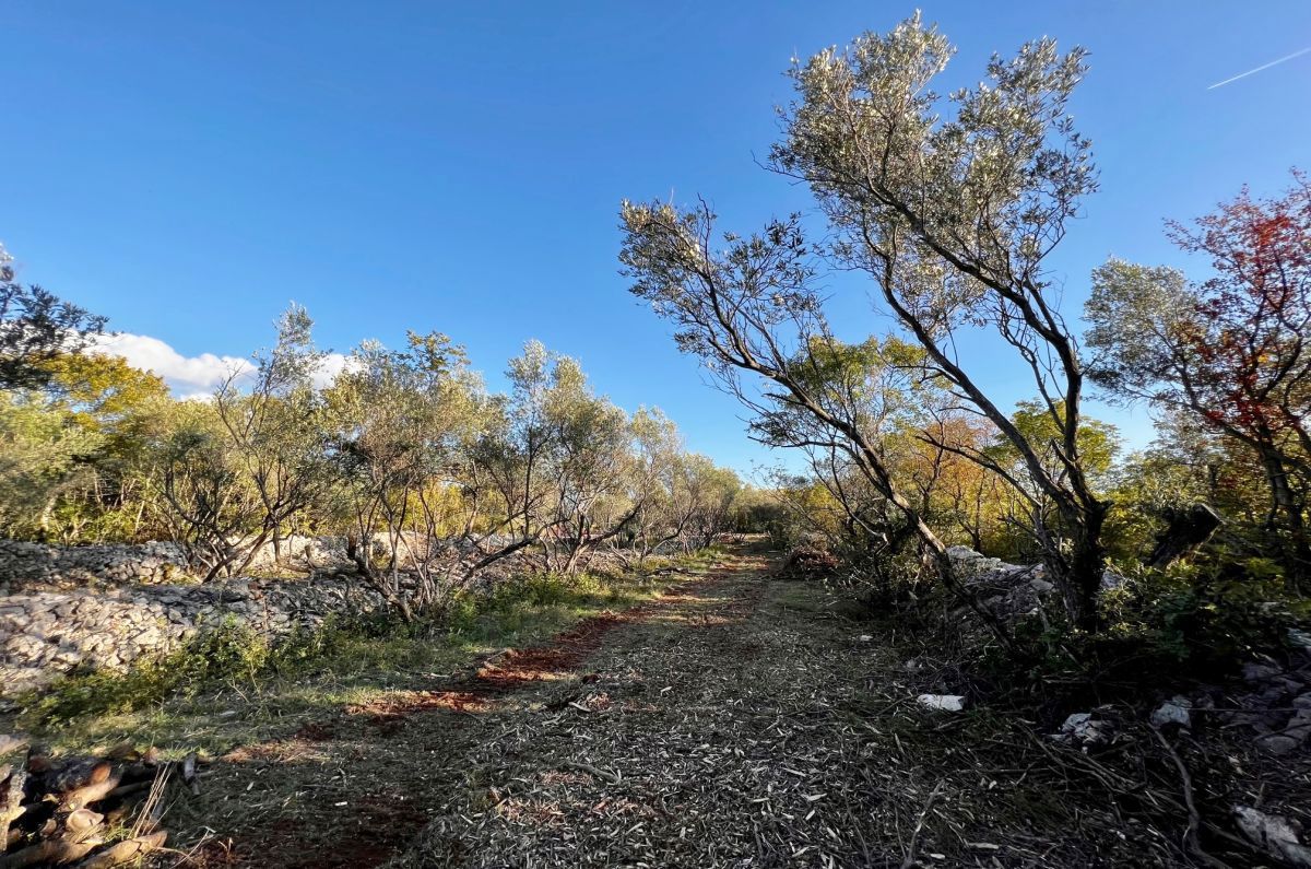 image 23