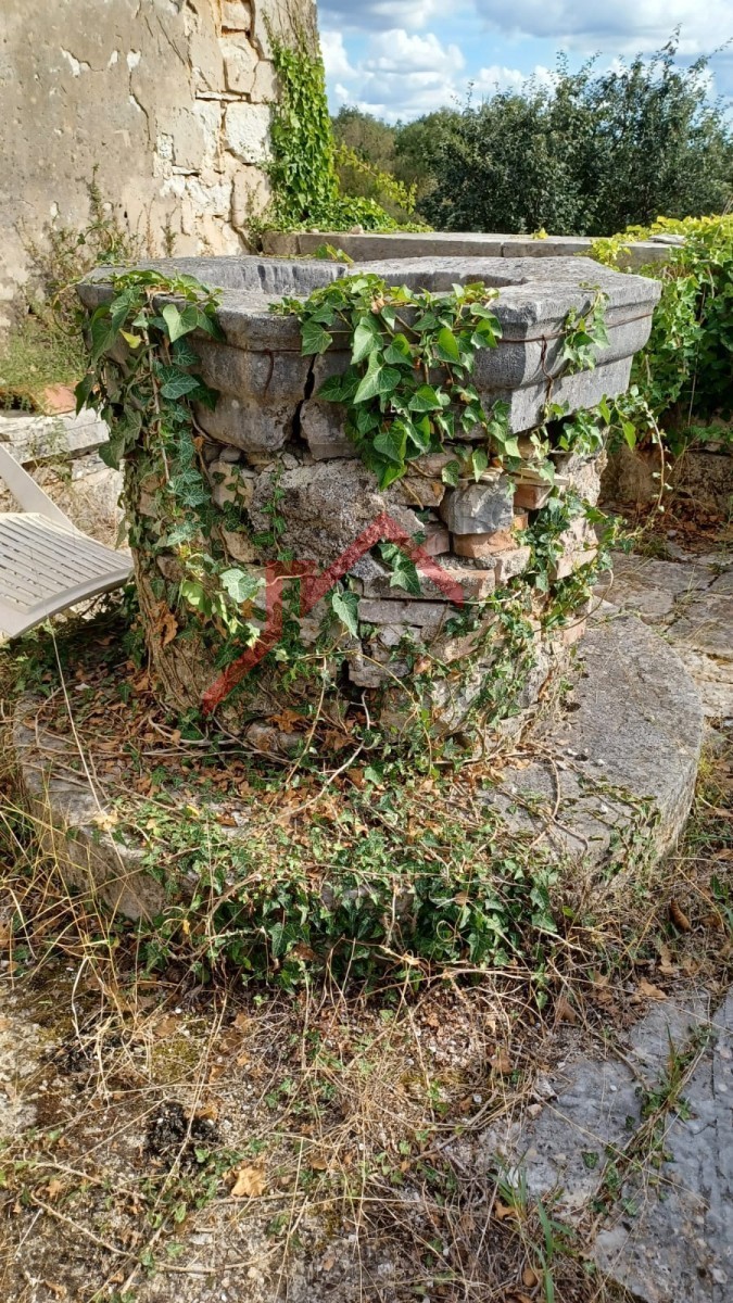 VIŠNJAN