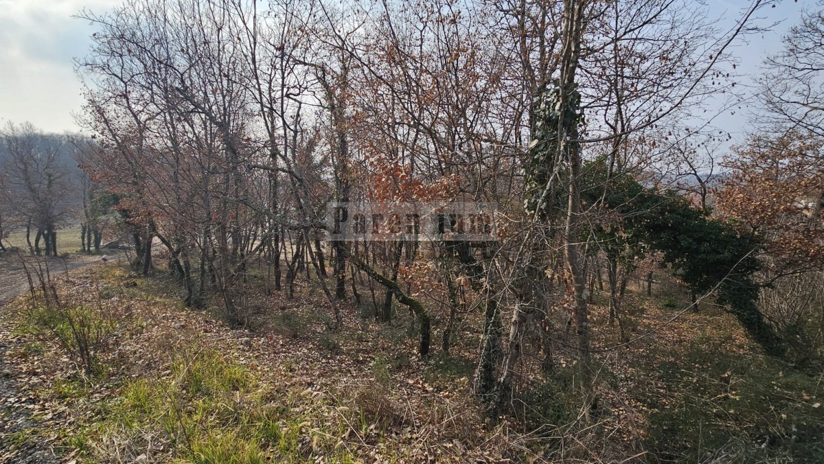 VIŽINADA