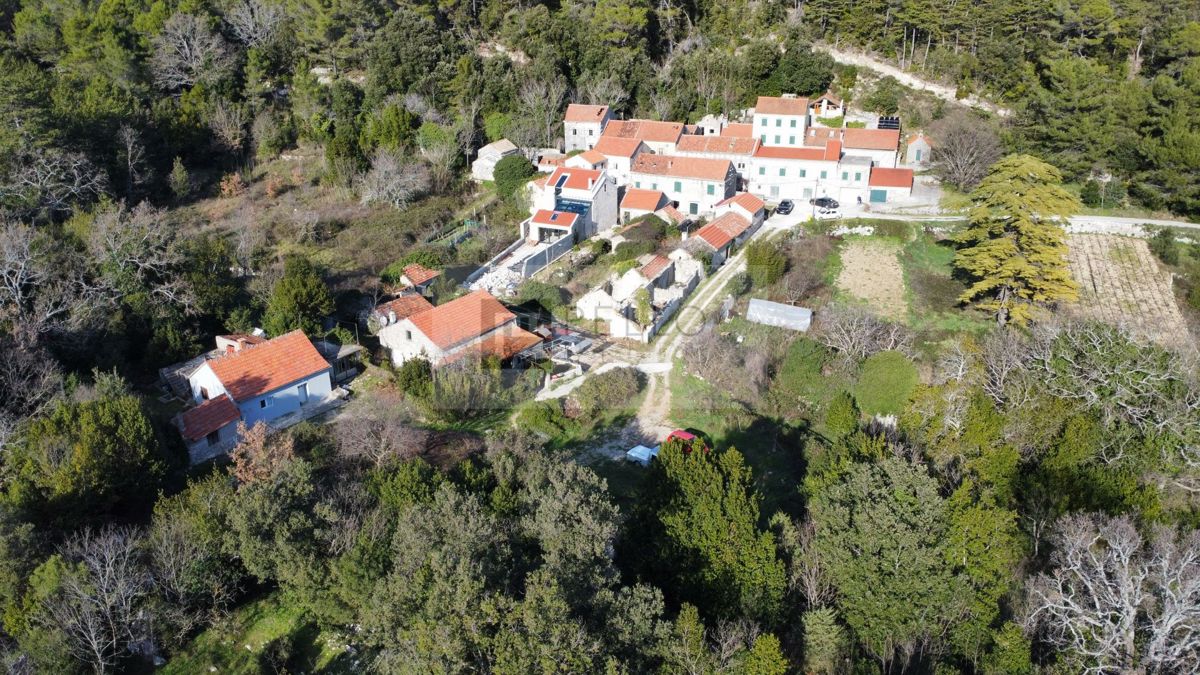 TRPANJ