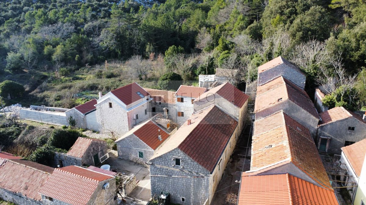 TRPANJ
