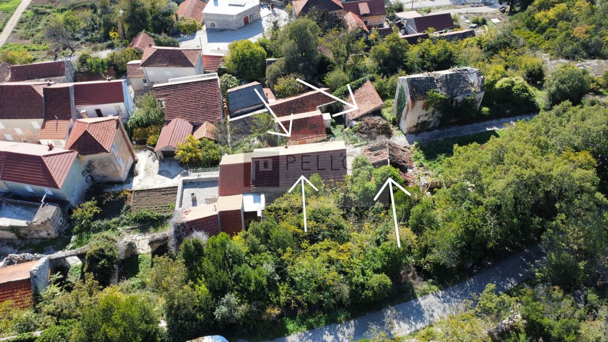 OSKORUŠNO