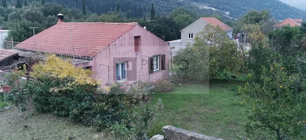 KNEŽICA