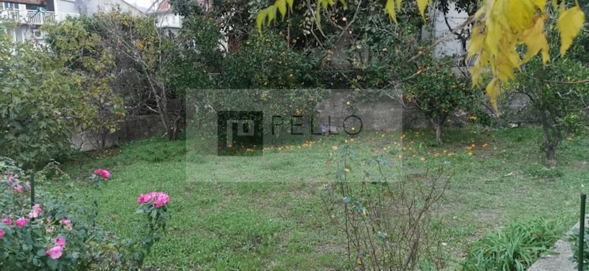 KNEŽICA