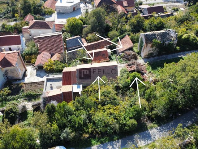 OSKORUŠNO