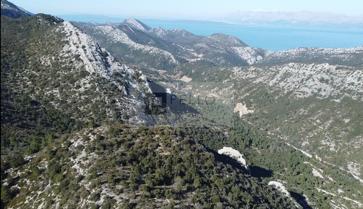 TRPANJ
