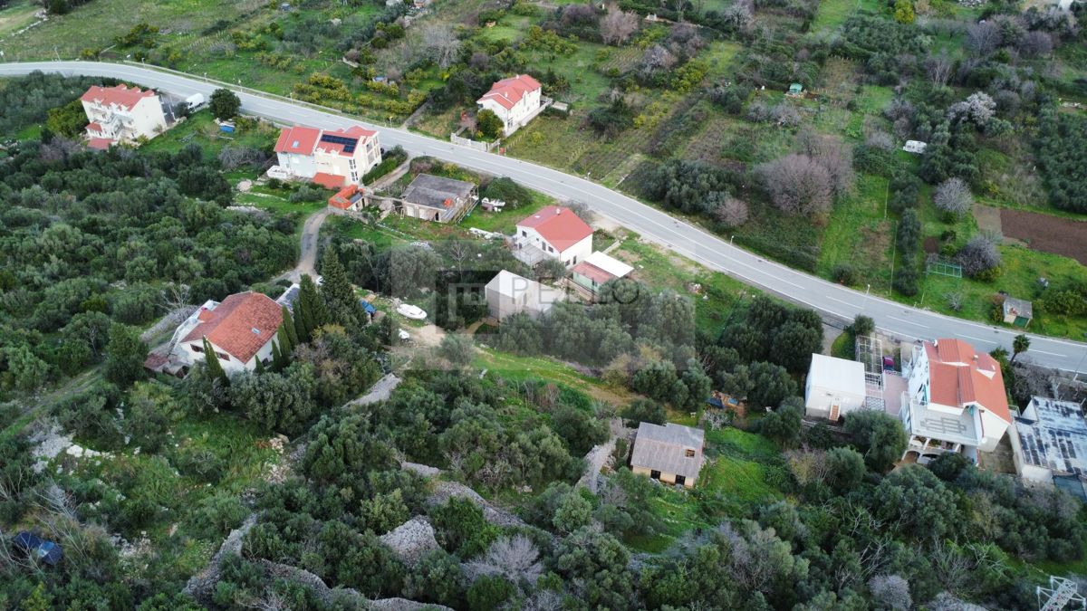 TRPANJ