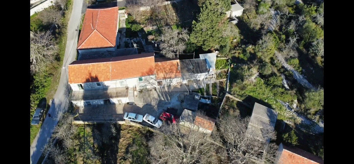 BOGOMOLJE