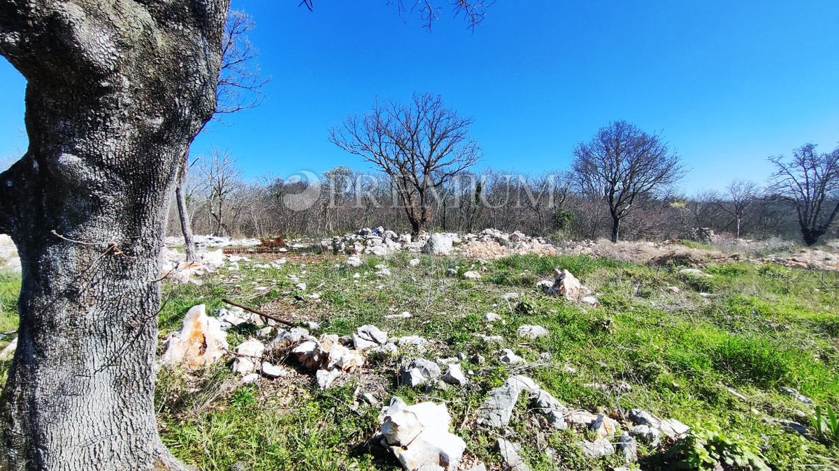NJIVICE