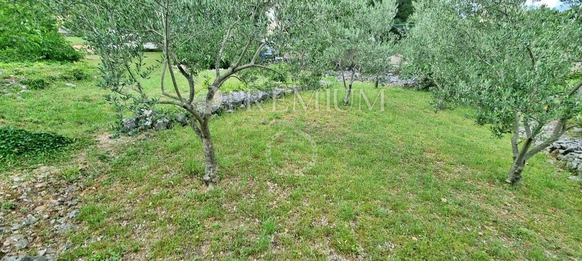 MALINSKA