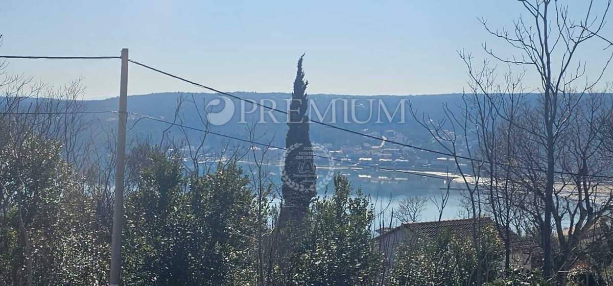ČIŽIĆI