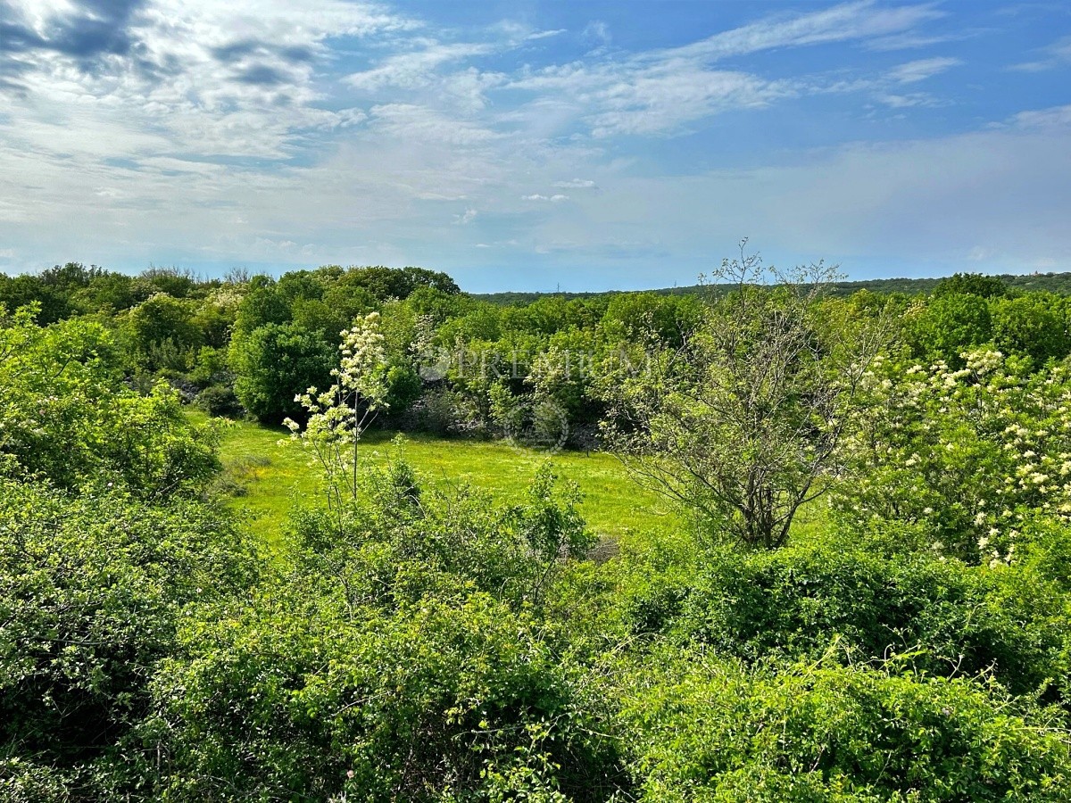 VRBNIK