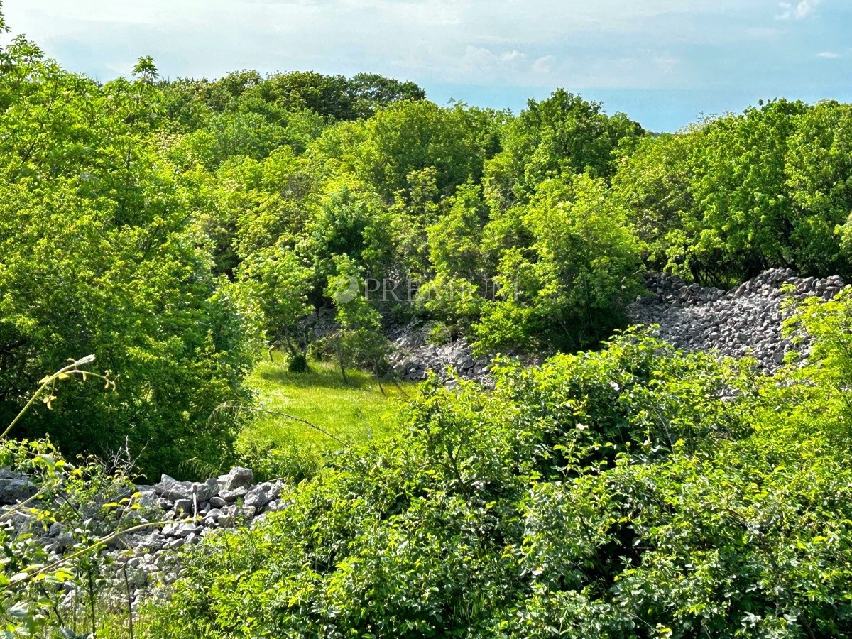 VRBNIK