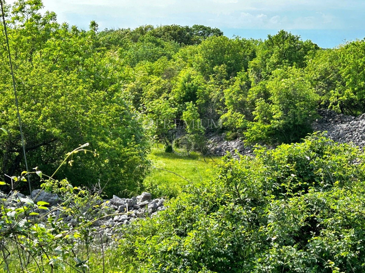 VRBNIK
