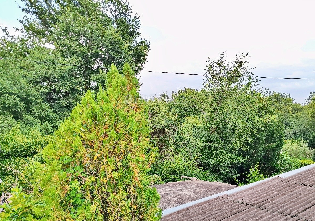 ŠILO
