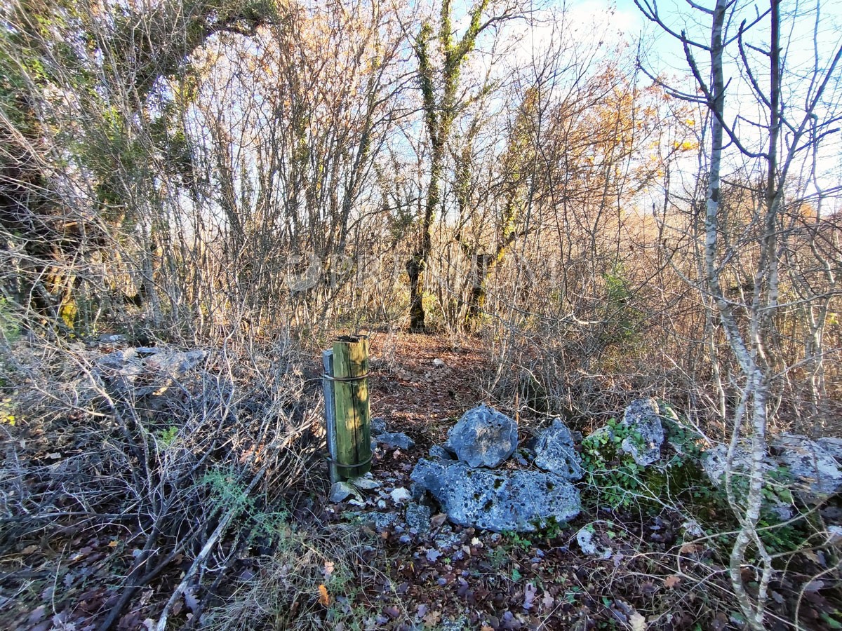 SUŽAN