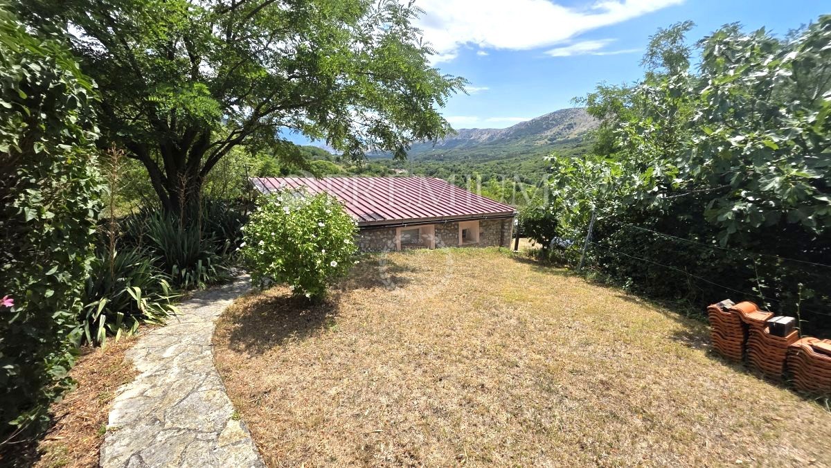 DRAGA BAŠĆANSKA
