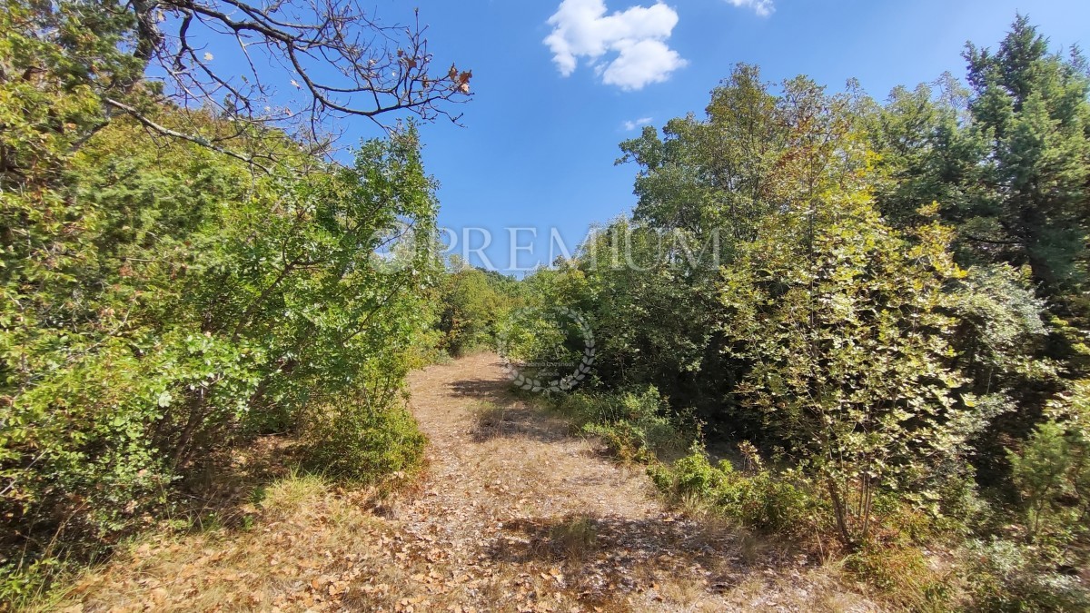 Pinezići, kmetijsko zemljišče 150 m od morja! – 2