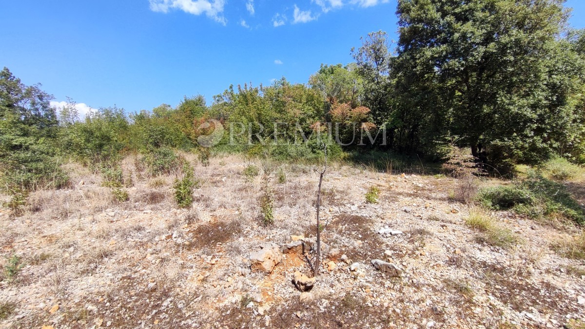 Pinezići, kmetijsko zemljišče 150 m od morja! – 3