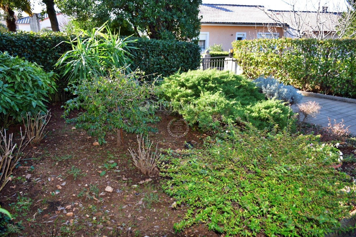 image 23