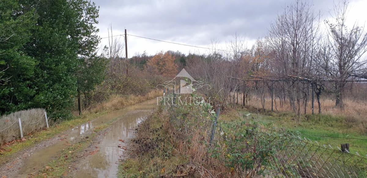 LUPOGLAV